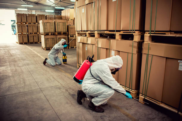 Best Termite Control Services  in Tyndall, SD