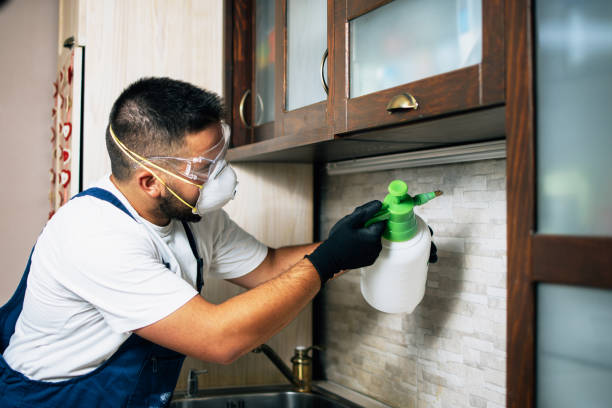 Best Pest Removal Services  in Tyndall, SD
