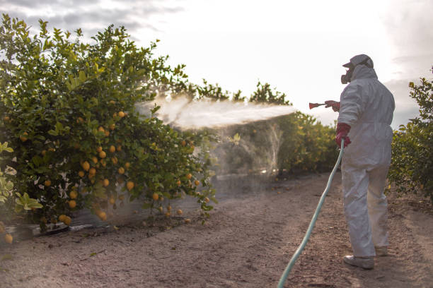 Best Insect Control  in Tyndall, SD
