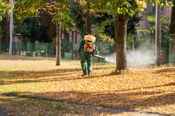 Pest Prevention Services in Tyndall, SD