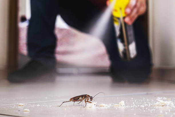 Best Bed Bug Extermination  in Tyndall, SD