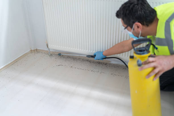 Best Affordable Pest Control Services  in Tyndall, SD